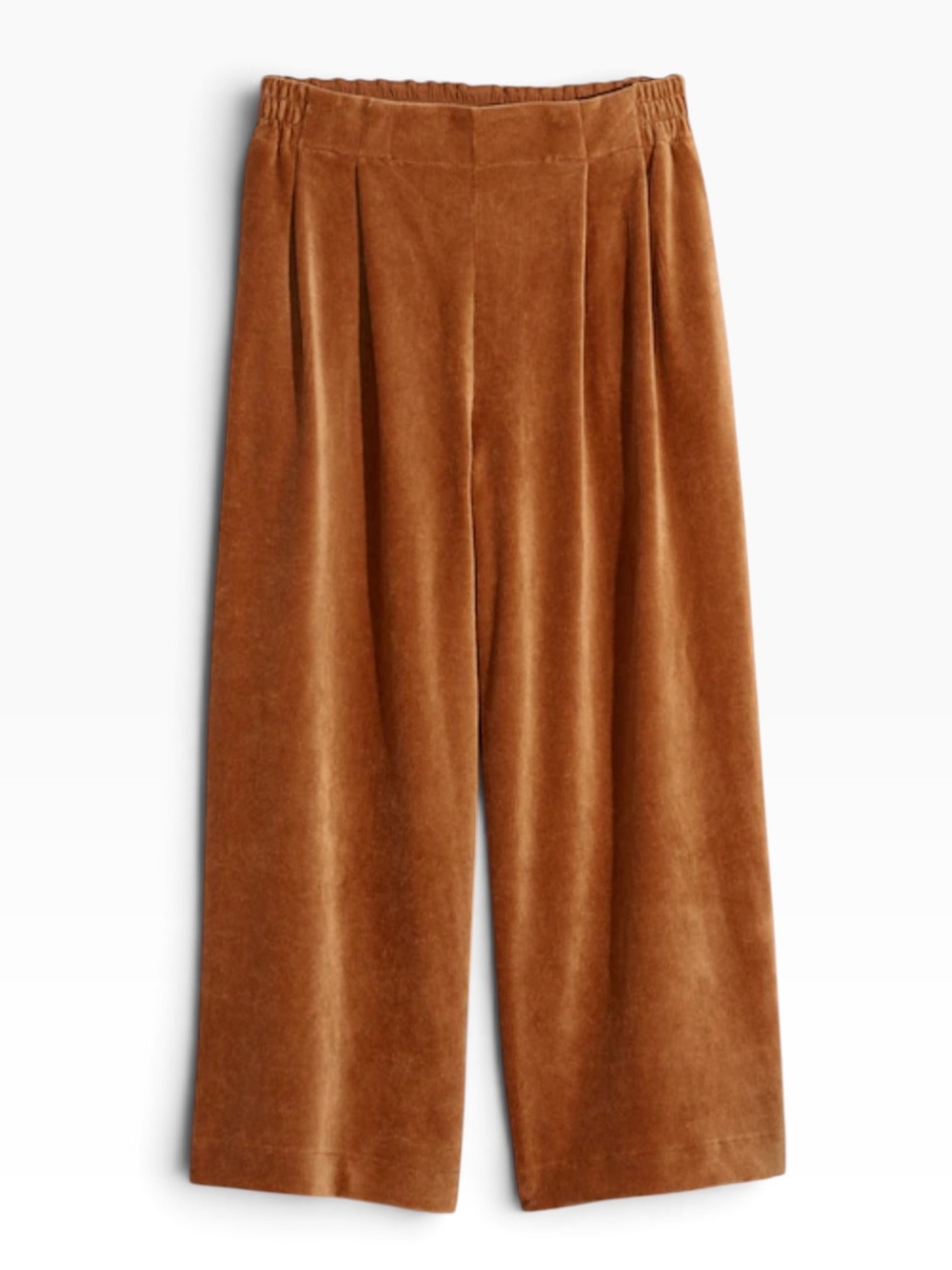 Madewell texture & thread pleated wide leg corduroy pants in warm hickory